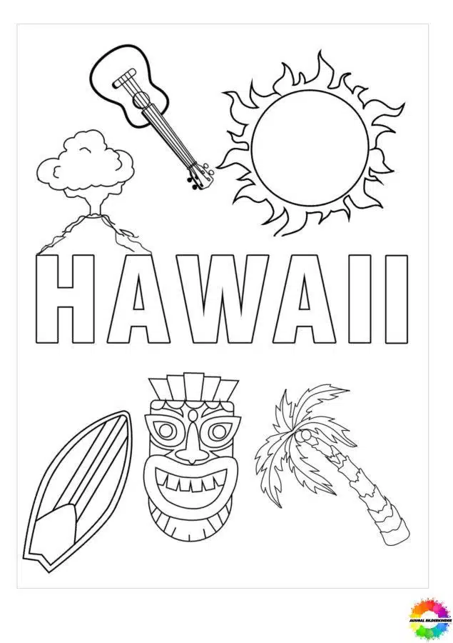 Hawaii 51