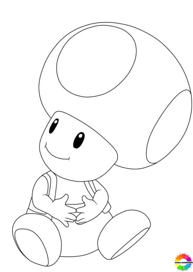 Toad 24