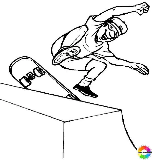 Skateboard 30