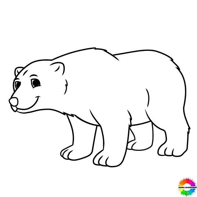 Bären 10