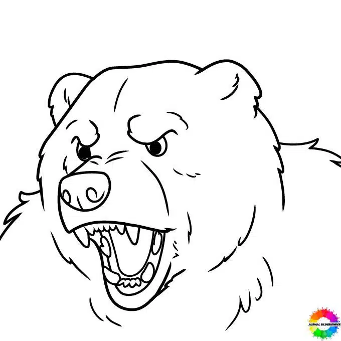 Bären 13