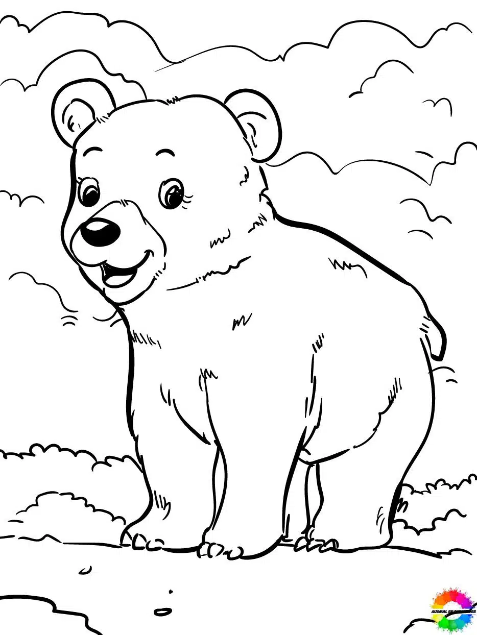 Bären 31