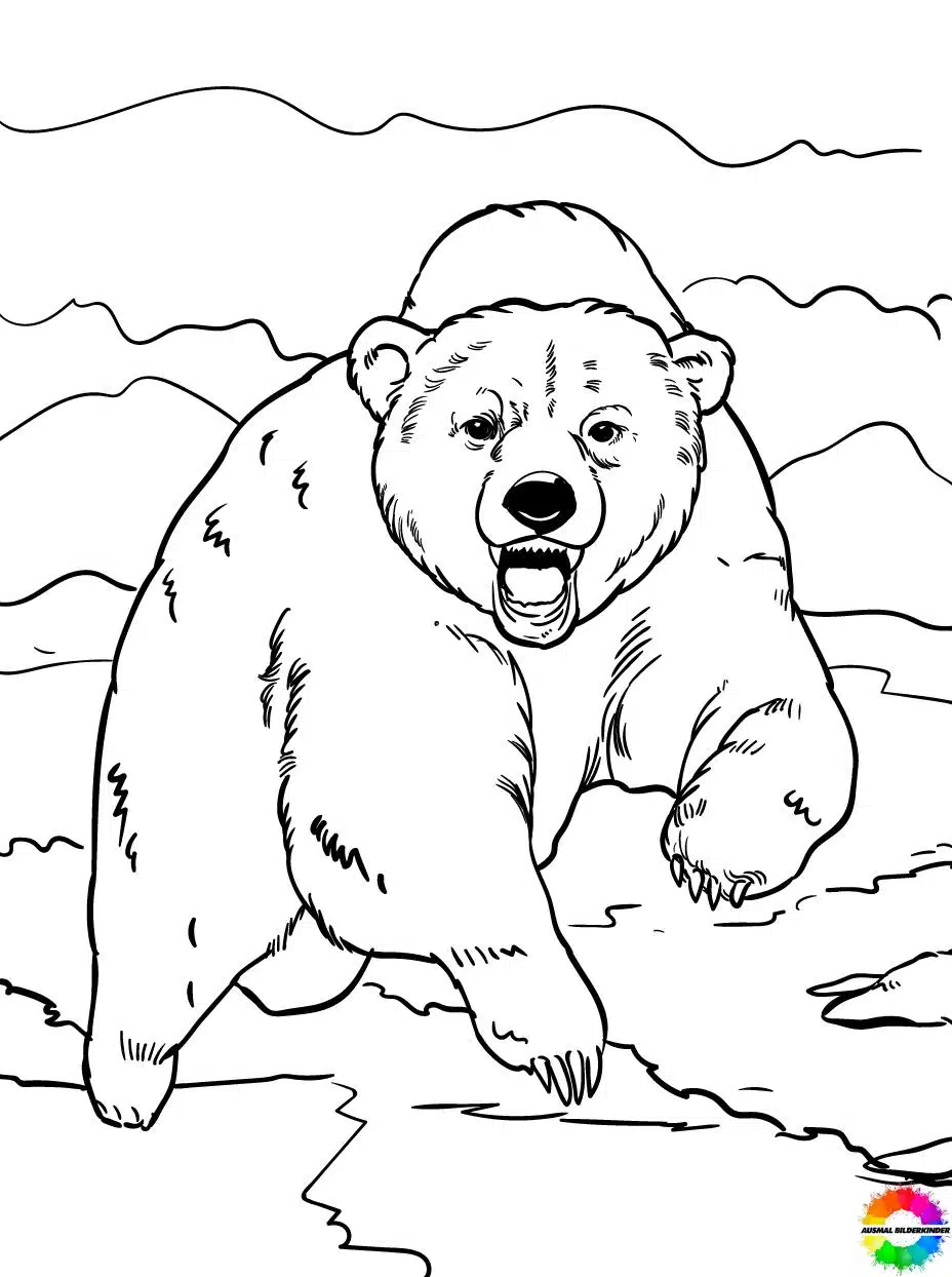Bären 34