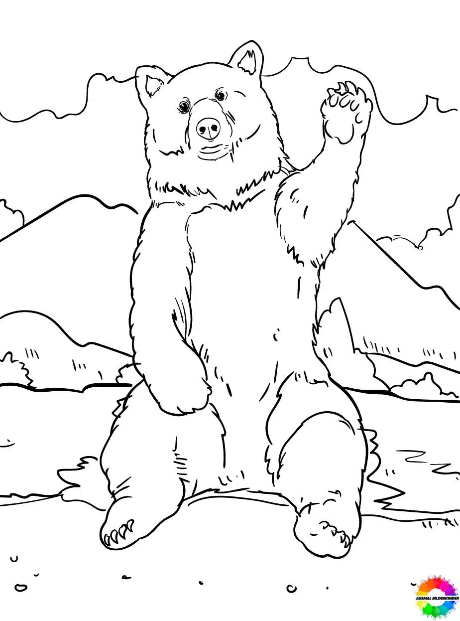 Bären 36