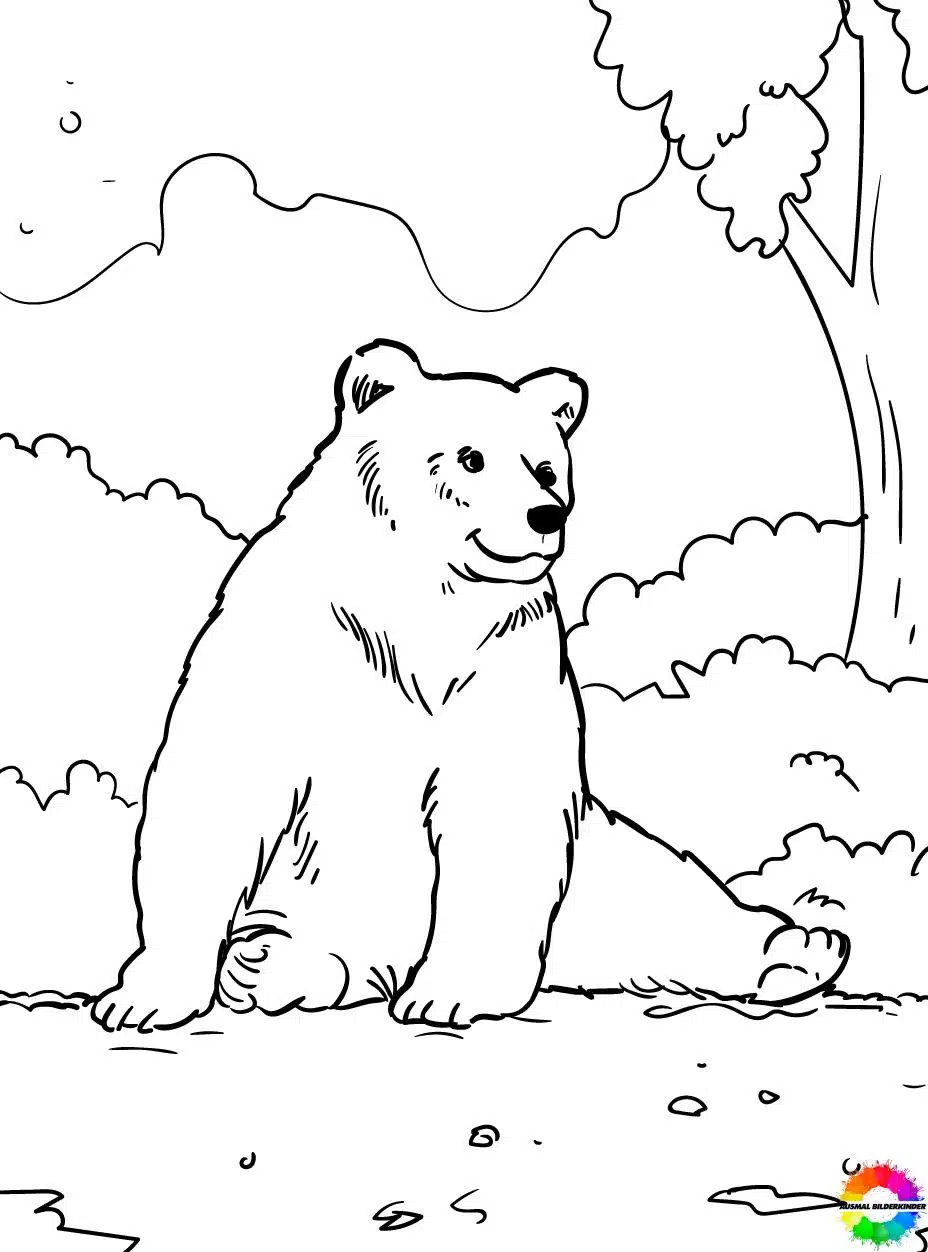 Bären 38