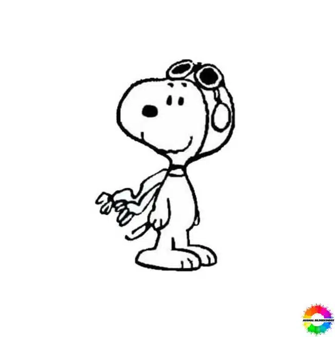 Snoopy 19