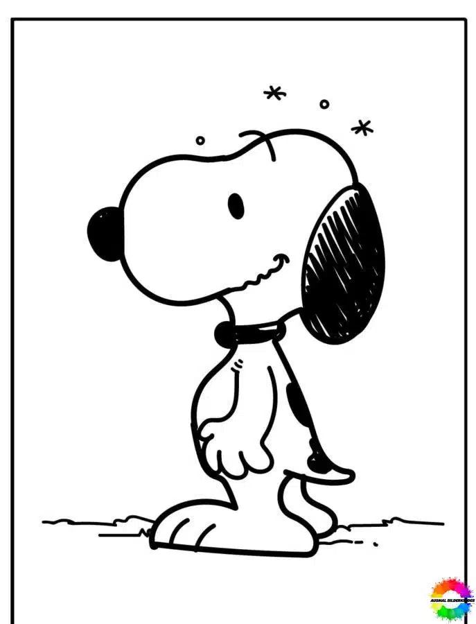 Snoopy 49