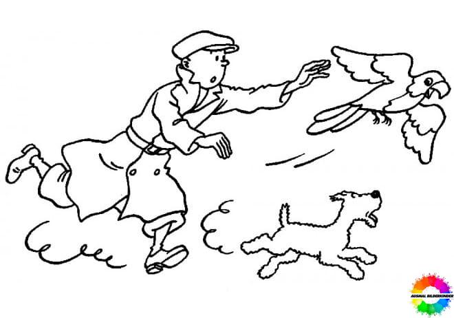 Die Abenteuer von Tintin 18