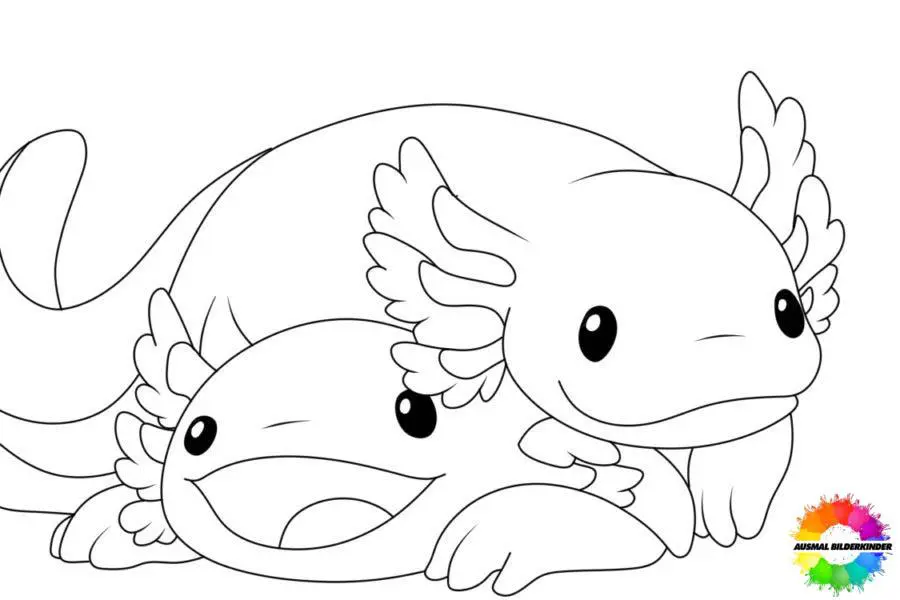 Axolotl 11
