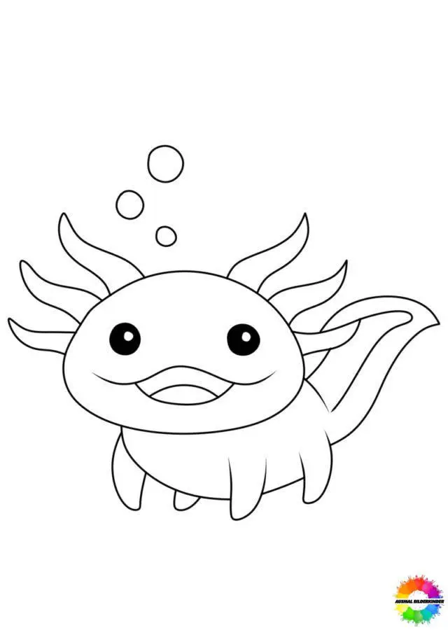 Axolotl 13