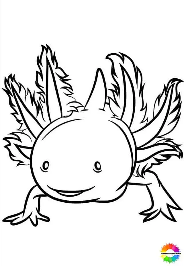 Axolotl 22