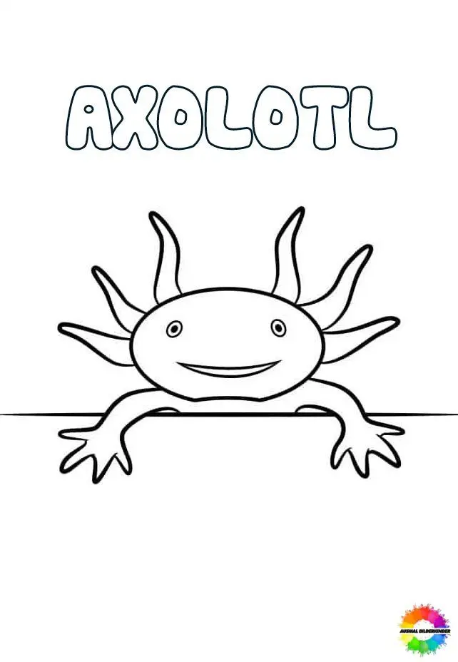 Axolotl 26