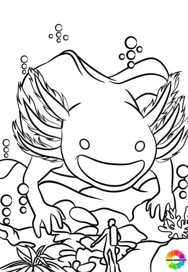Axolotl 31