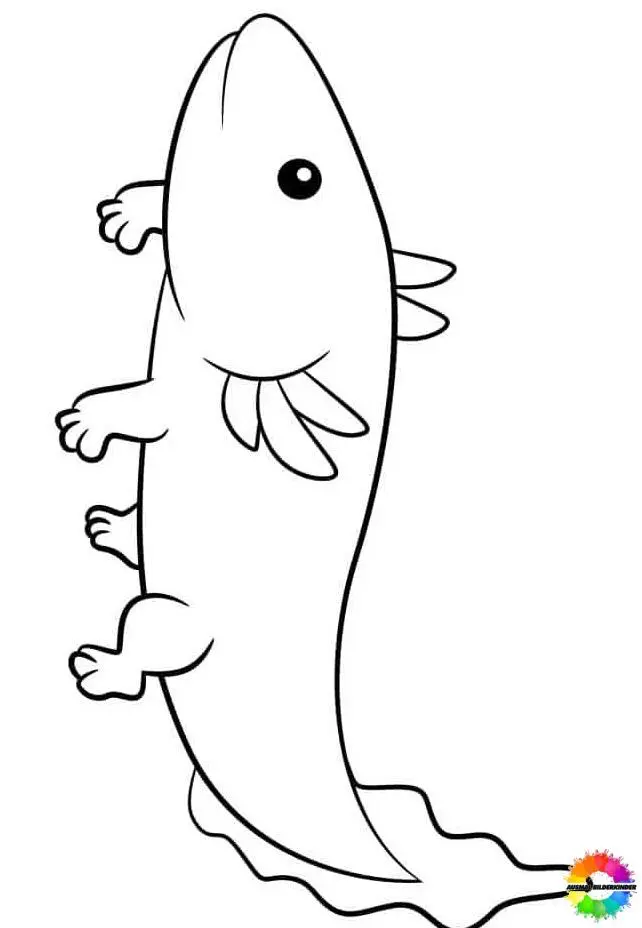 Axolotl 39