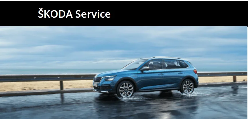 Skoda Zdravko