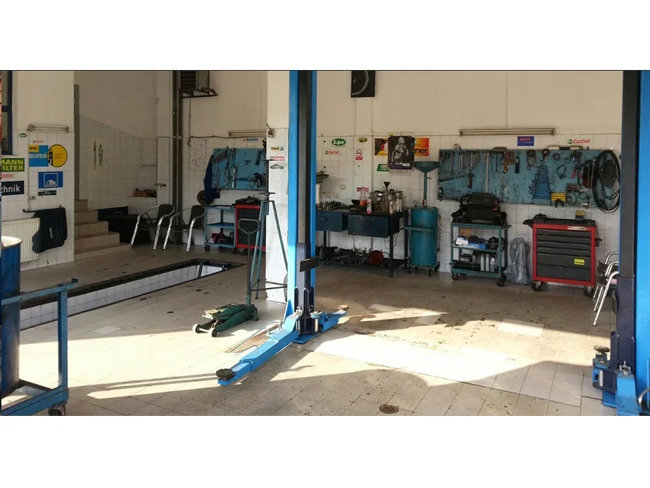 AUTO SERVIS MILE I VLADA DEMO