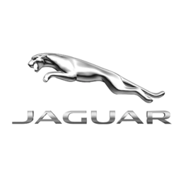 Normal jaguar