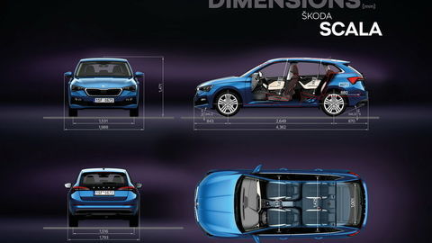 Thumb scala dimensions