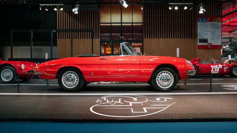 Thumb 1600spiderduetto