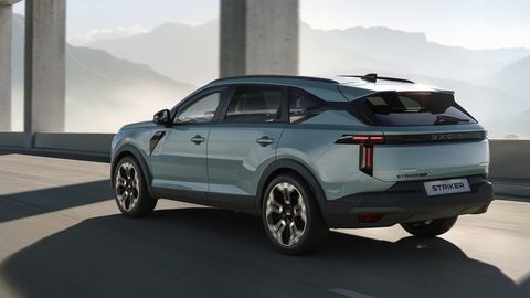 Thumb dacia striker 8