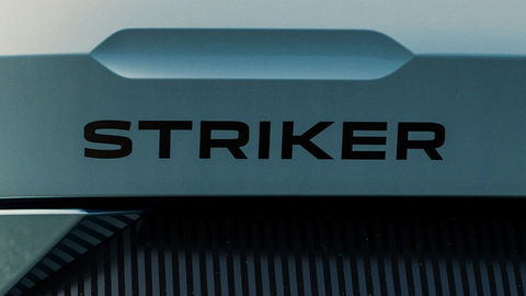 Thumb dacia striker