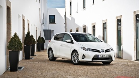 Thumb 25477 large auris hybrid stat 11 dpl 2012