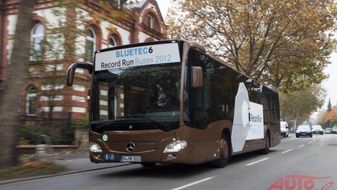 Thumb 23782 large autobusov c3 bd marat c3 b3n citaro