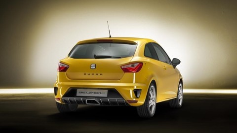 Thumb 7527 large seat ibiza cupra zadok