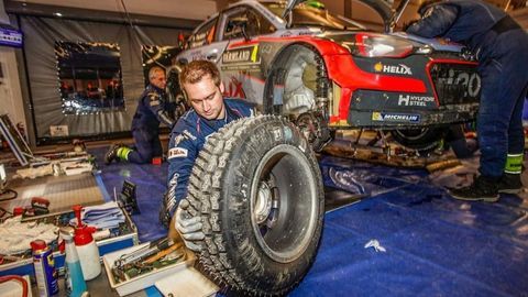 Thumb paddon02swe16sv177