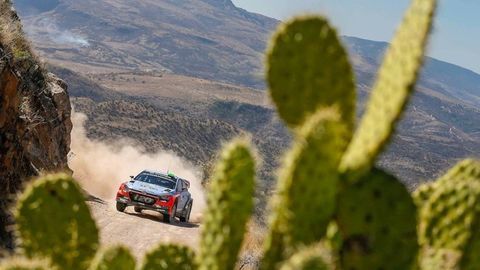 Thumb paddon03mex16sv262