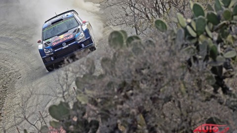 Thumb 85444 large rally mexico vedie sebastien ogier