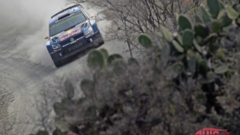 Thumb 85443 large rally mexico vedie sebastien ogier