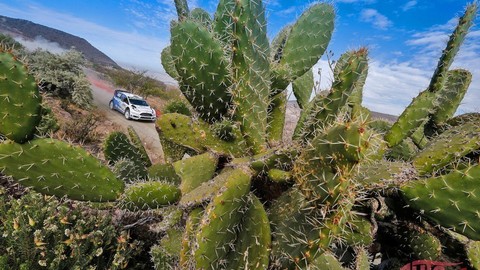 Thumb 85402 large rally mexico vedie sebastien ogier