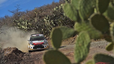 Thumb 85391 large rally mexico vedie sebastien ogier