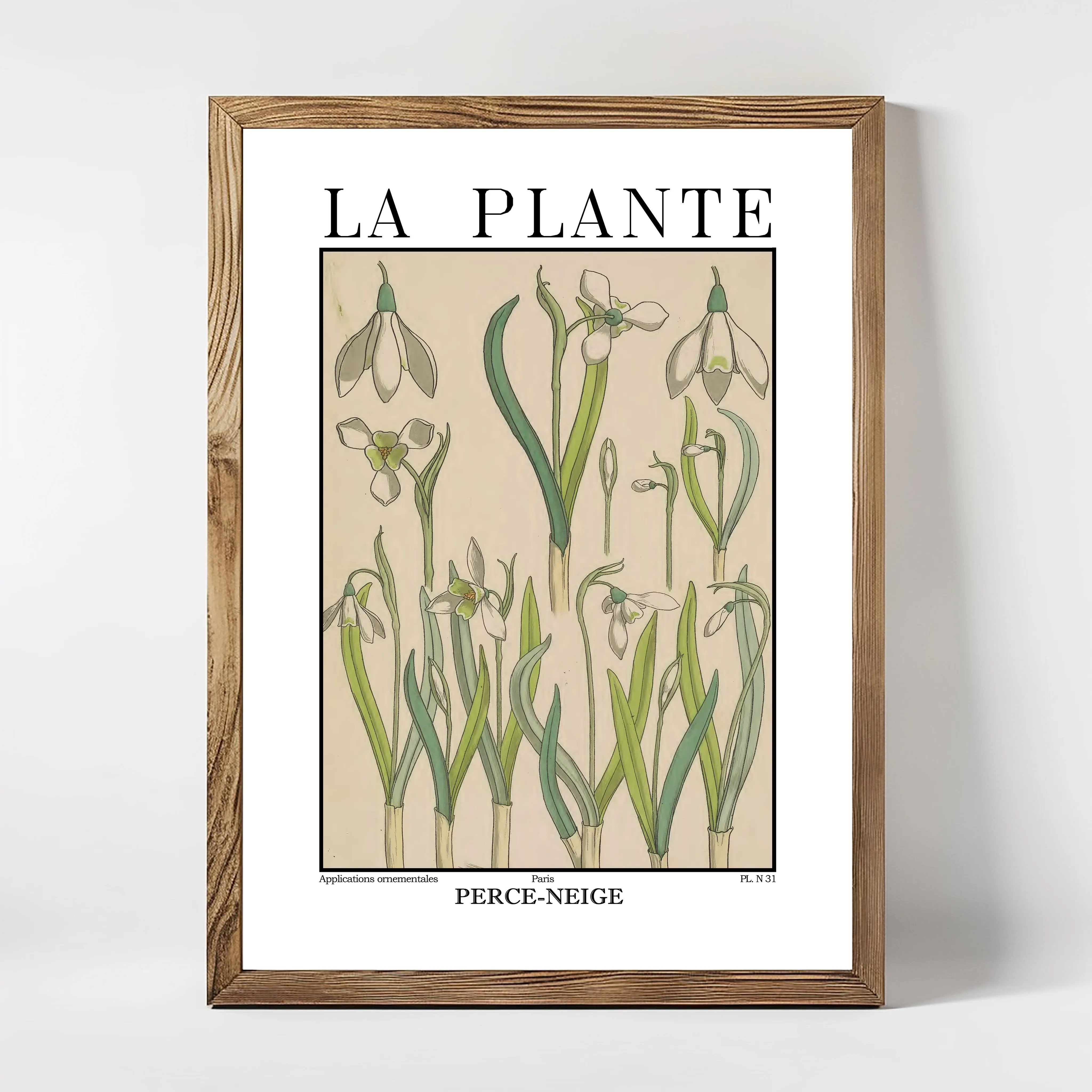 La Plante