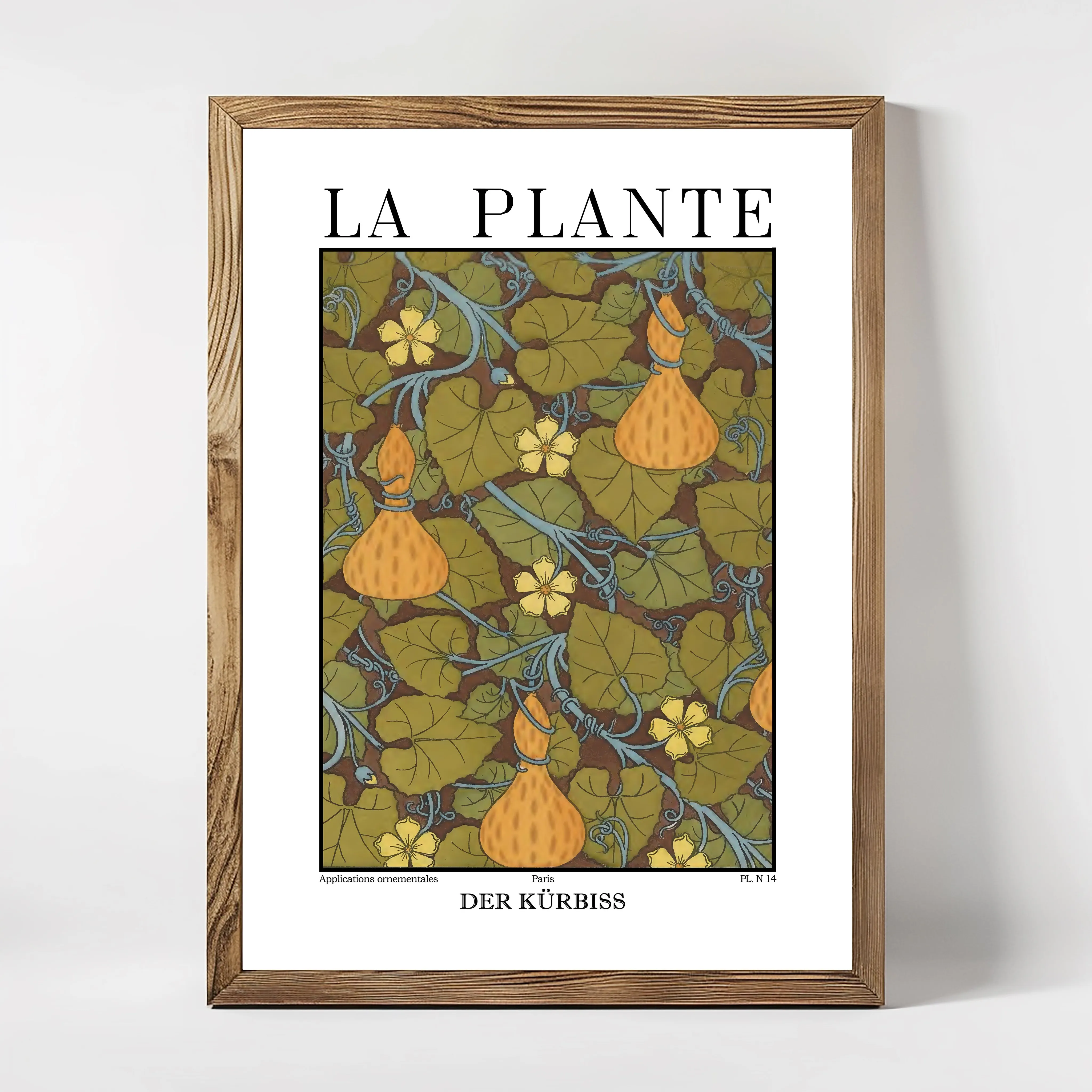 La Plante – Cucurbita pepo (Pumpkin) Decorative Botanical Illustration