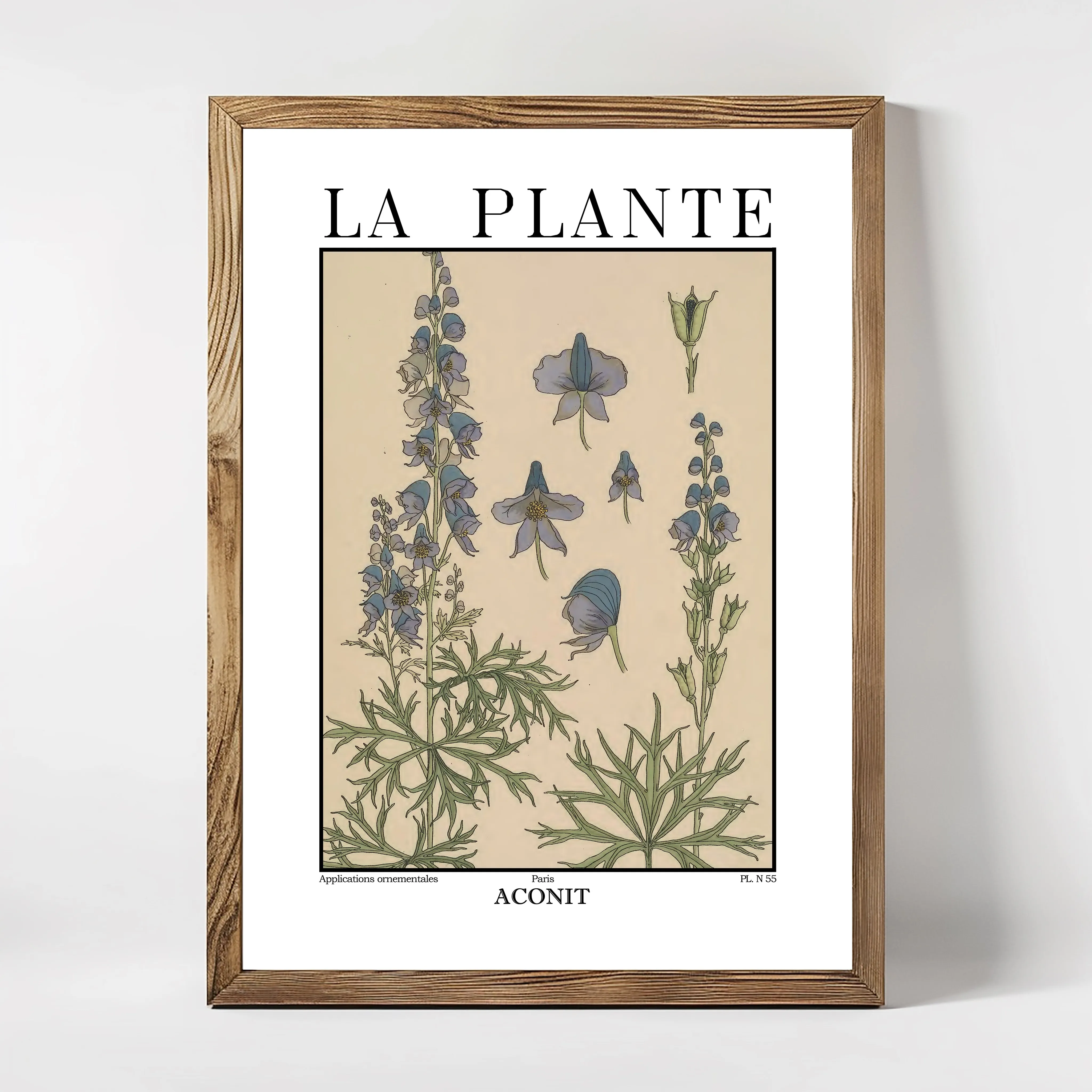 A framed print with the title 'LA PLANTE' featuring an illustration of plants and insects.
