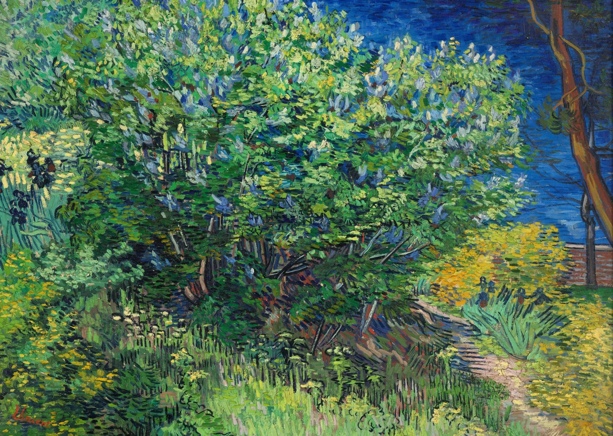 Vincent Van Gogh - Lilac Bush (1889)