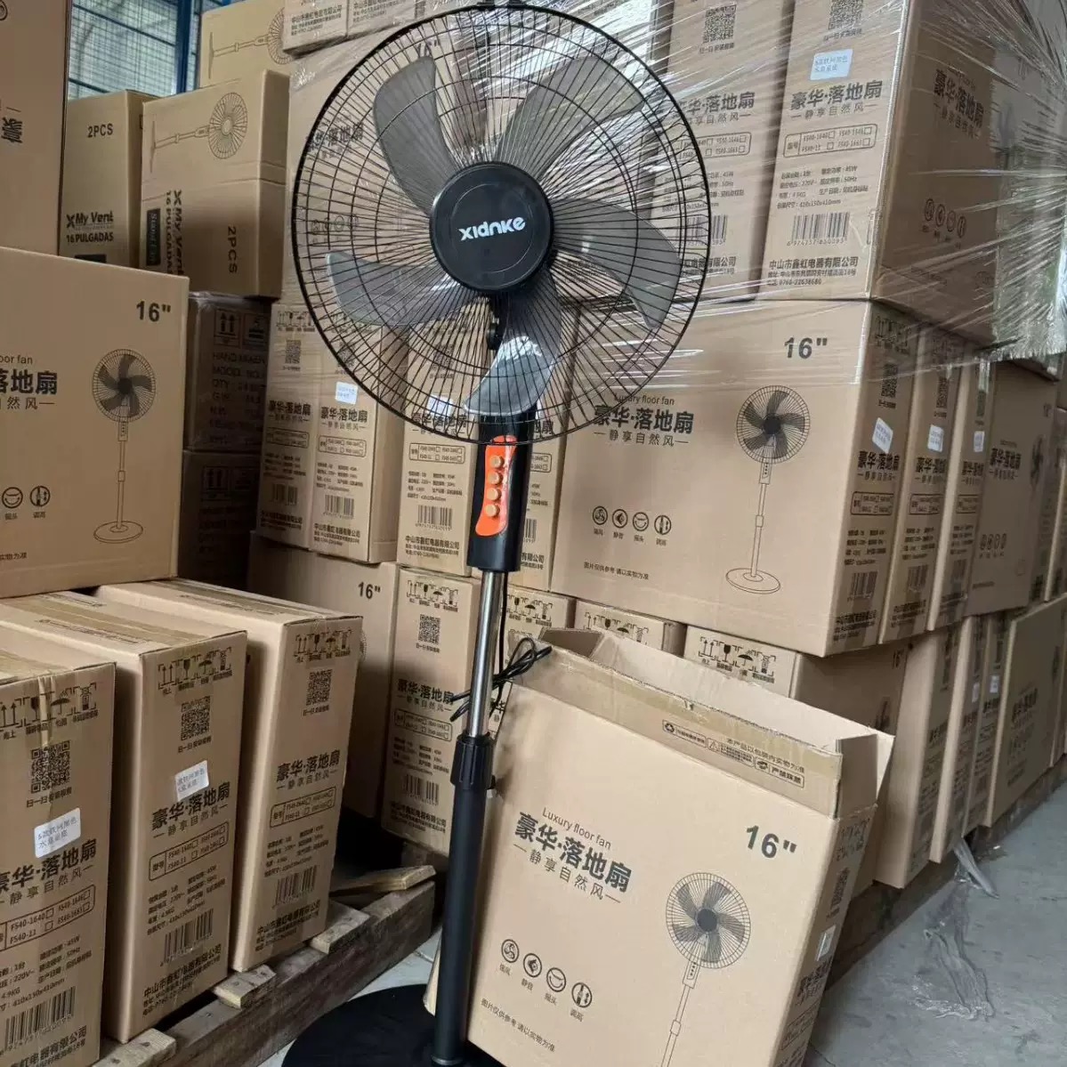 Standing Fan