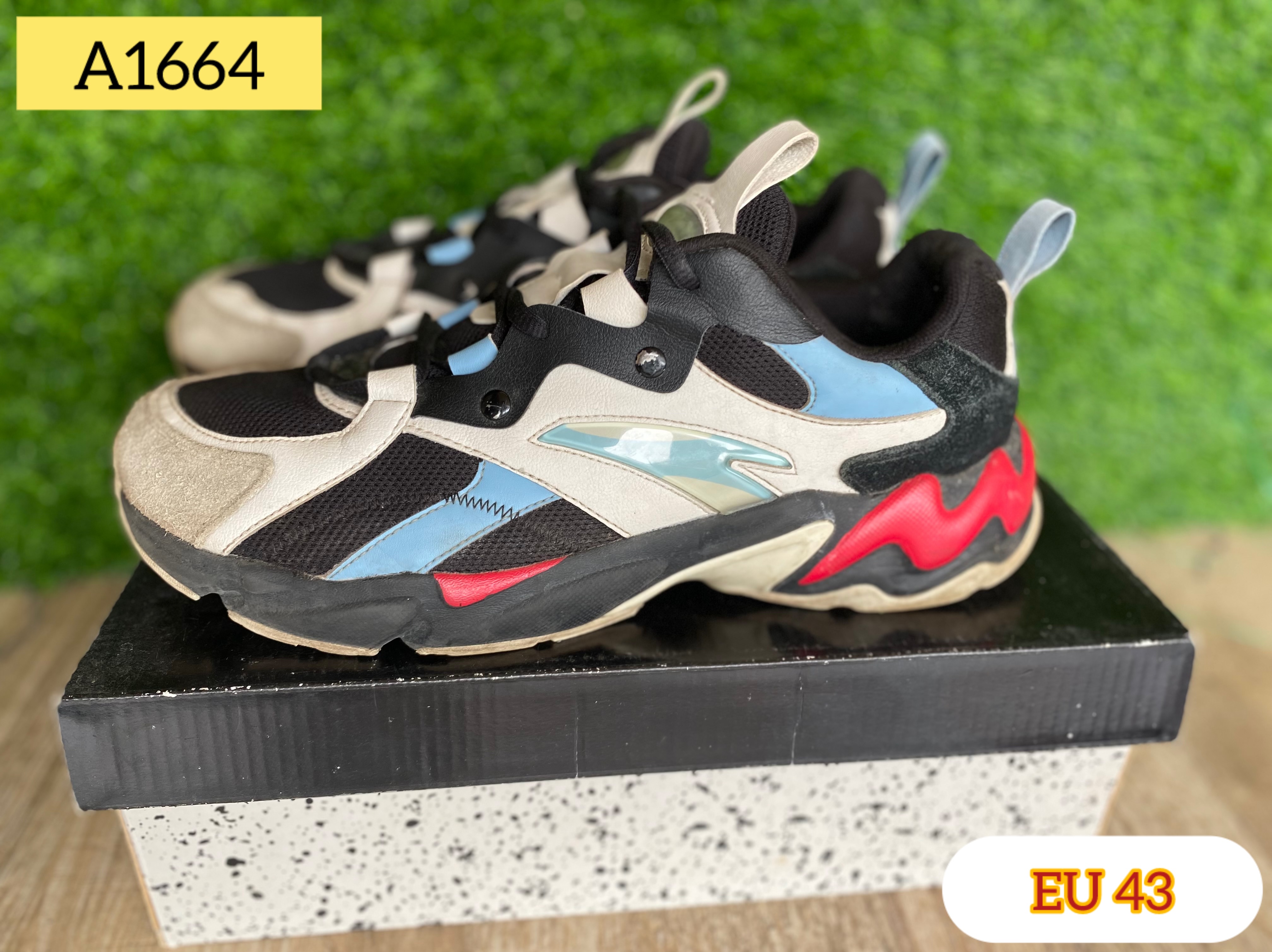 Men Sneakers