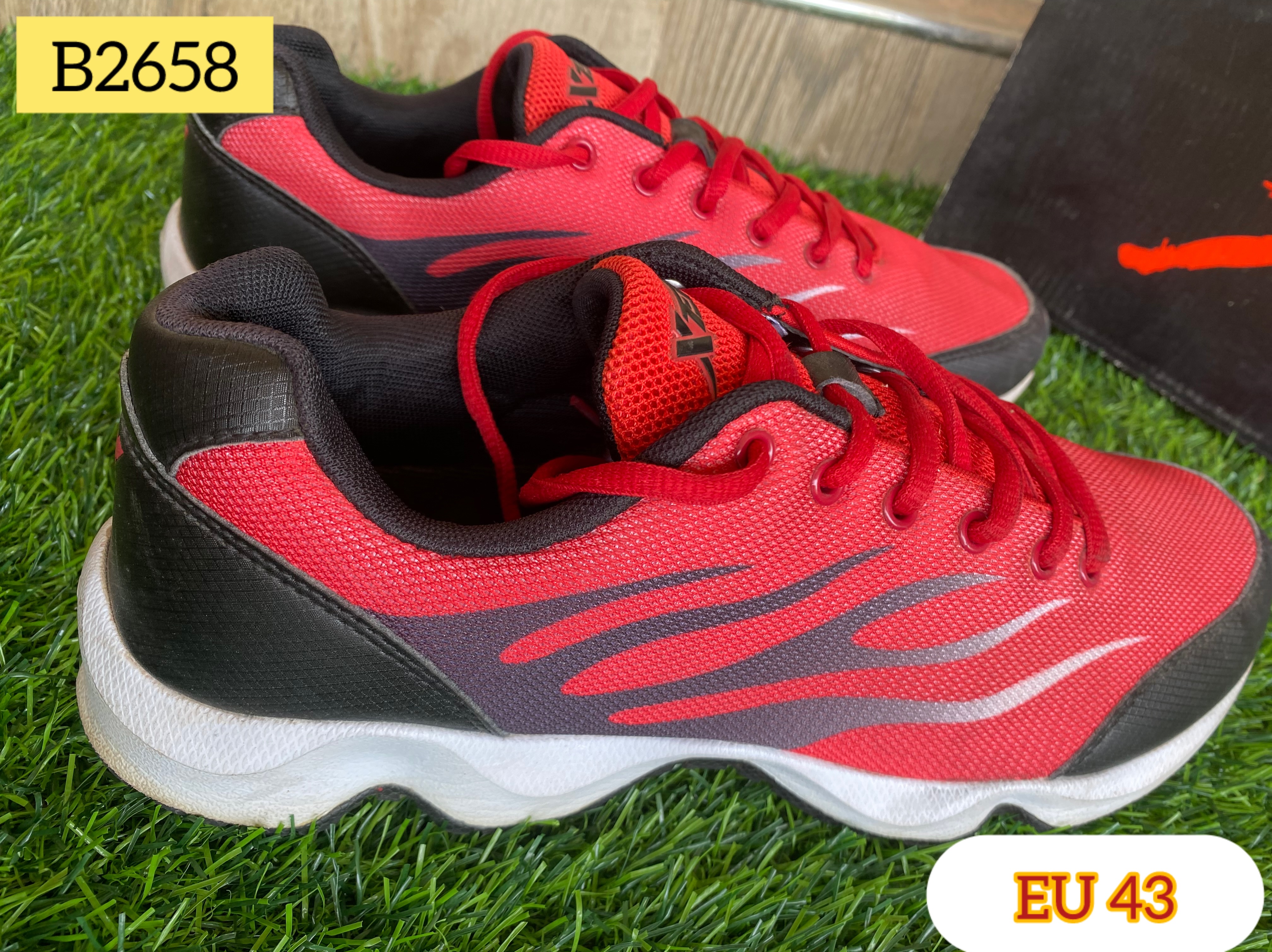 Men Sneakers