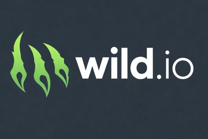 WildIO Online Casino