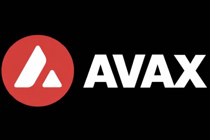Avalanche Online Casino Deposit Method