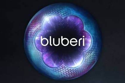 Bluberi Slot Studio Logo