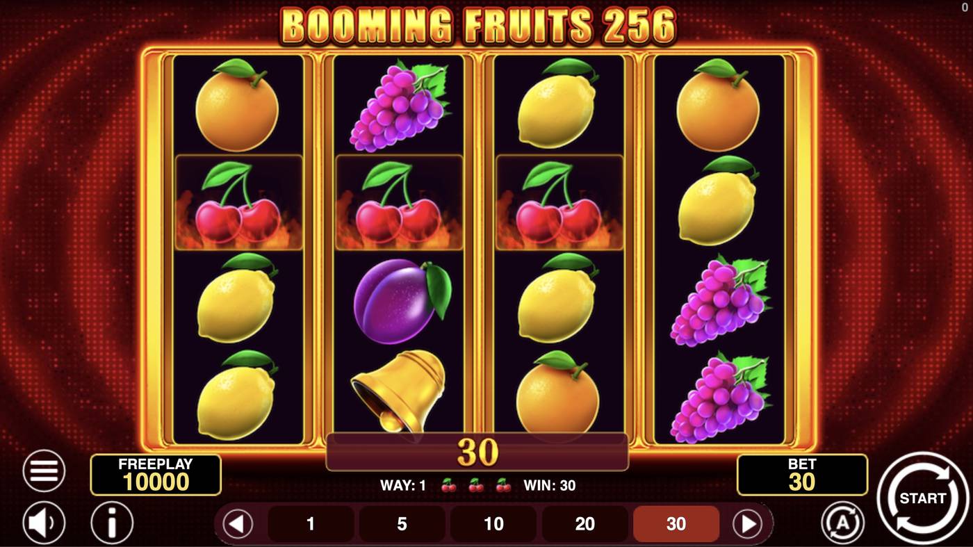Booming Fruits 256: image of winning