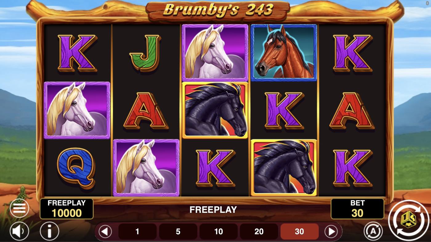 Brumby's 243: image of main menu