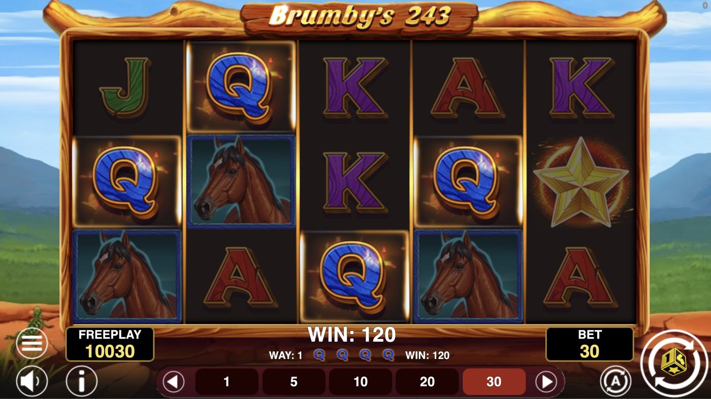 Brumby's 243: image of winning