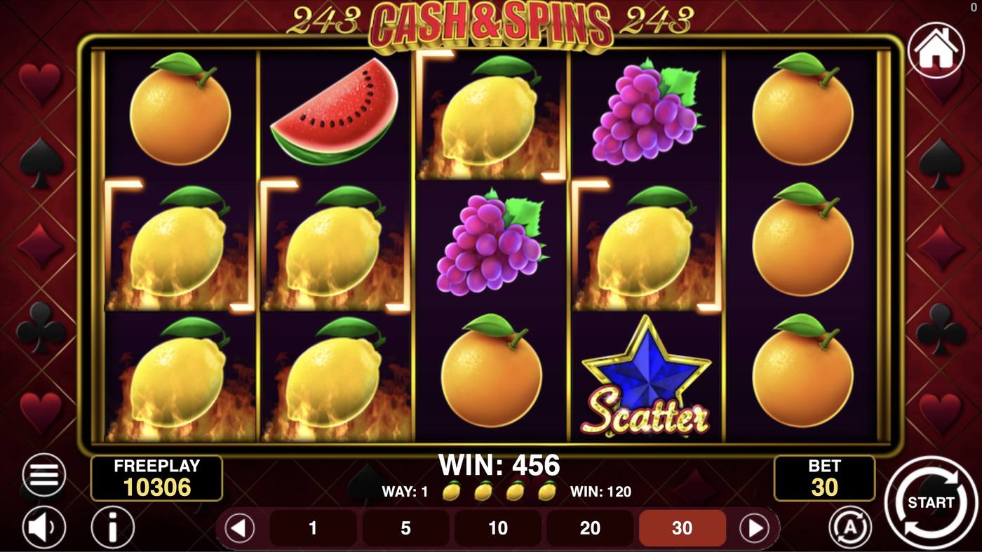 Cash&Spins 243: image of winning
