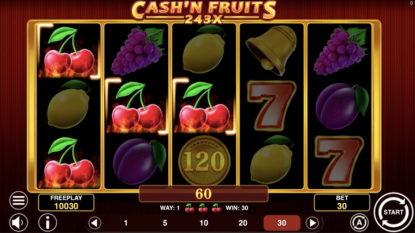 Cash'n Fruits 243 X: image of winning