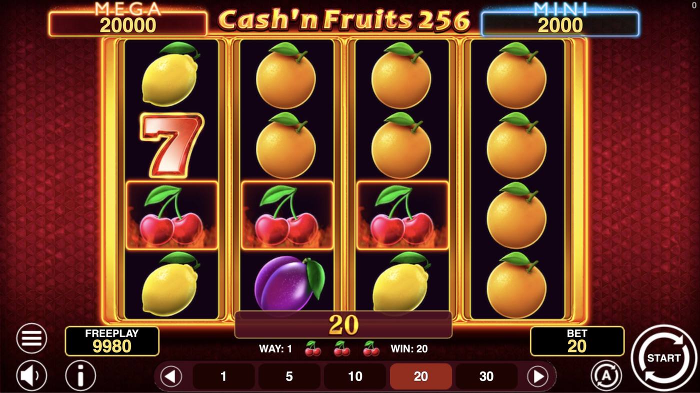 Cash'n Fruits 256 Hold And Win: image of winning